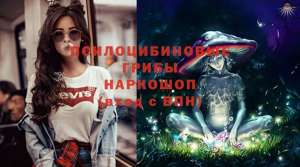 гидра Белоозёрский