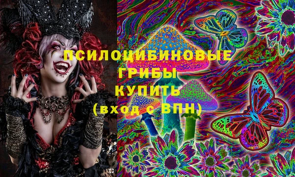 гидра Белоозёрский