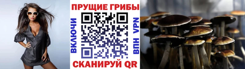 Галлюциногенные грибы мицелий  hydra ссылка  Зеленоградск 